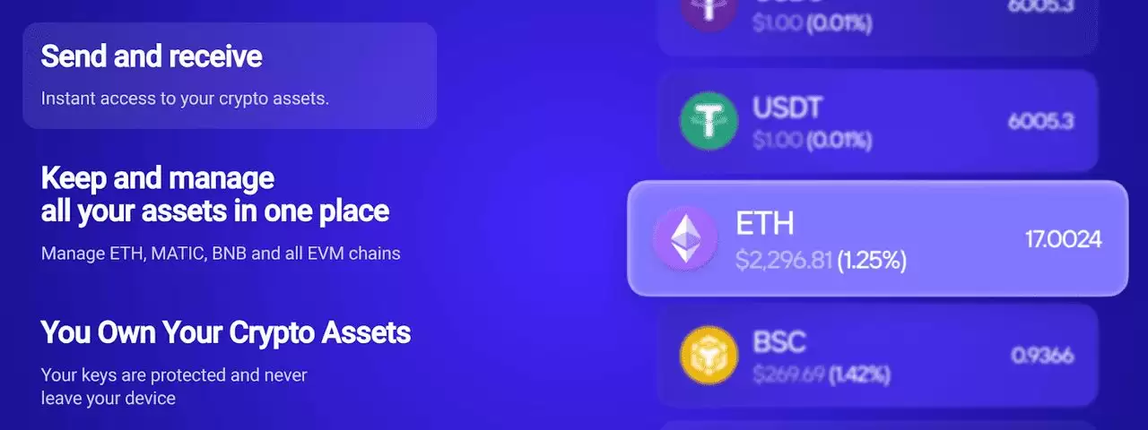 Atomic Wallet 是什么？如何运作？如何设置 Atomic Wallet？（图文步骤指南）