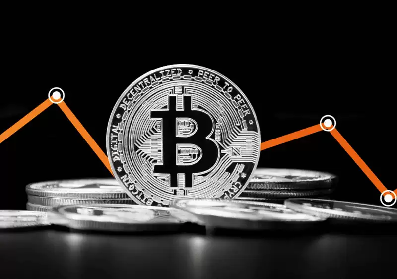 比特币转变：为什么ETF和上市公司现在持有的比特币比交易所还多？