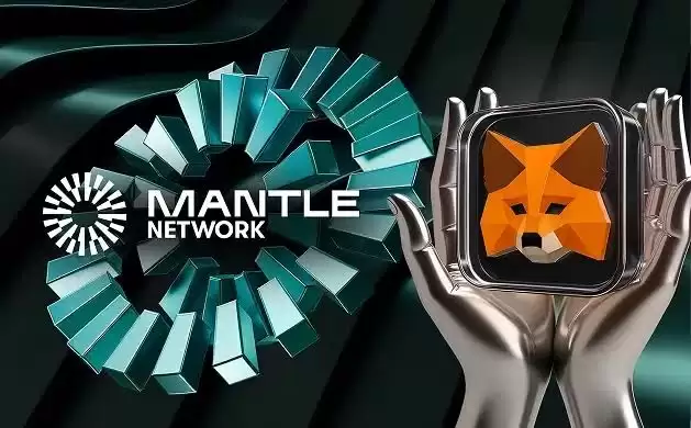 将StableChain添加至MetaMask