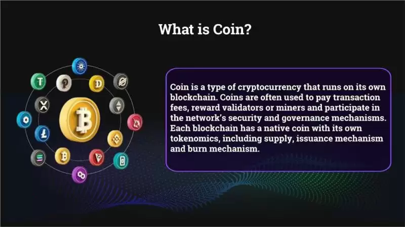 加密货币中的币和代币的区别