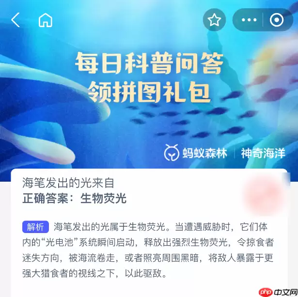 海笔发出的光来自于