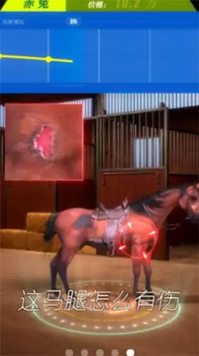 赛马也疯狂