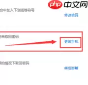 PP视频更换绑定手机号步骤三：进入账户安全点击更改手机