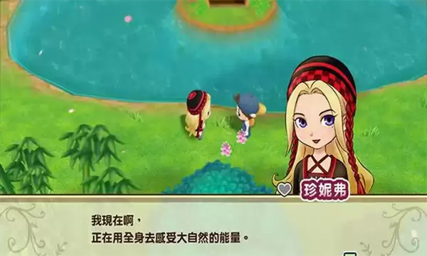 牧场物语重聚矿石镇安卓版