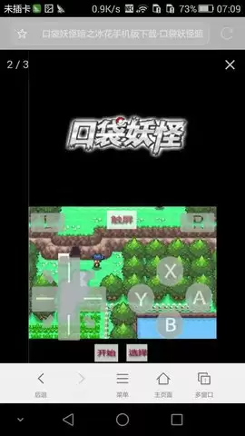 口袋妖怪暗之冰花