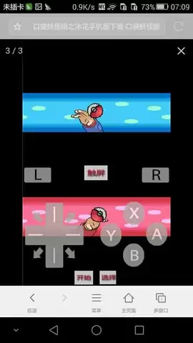 口袋妖怪暗之冰花