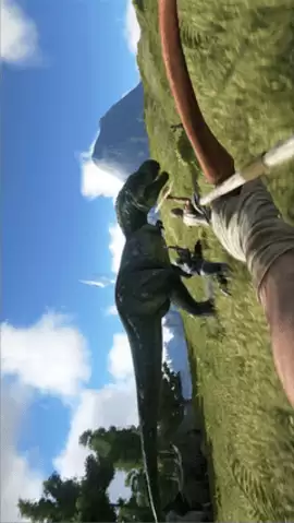 野外生存模拟器