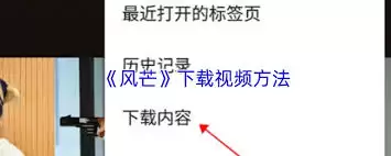 风芒应用投屏界面