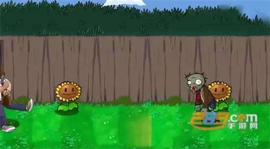 植物大战僵尸rush