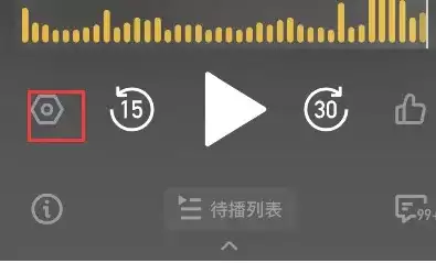 点击播放器中的设置按钮