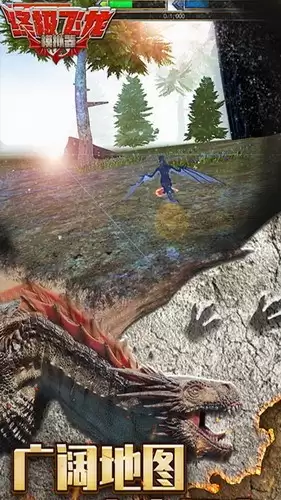 终极飞龙模拟器