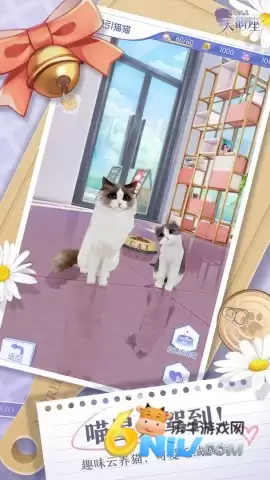 梦间集天鹅座安装包