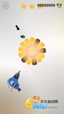 pigeonpop游戏