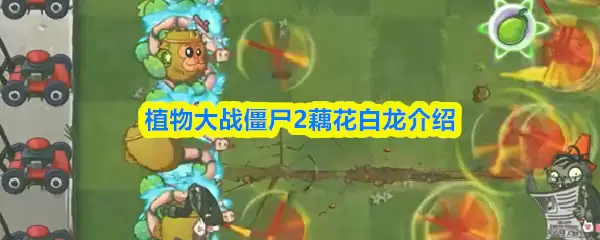 植物大战僵尸2仙人掌白龙介绍：特性与获取攻略