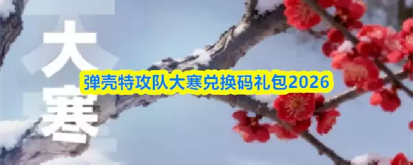 弹壳特攻队大寒节气活动海报