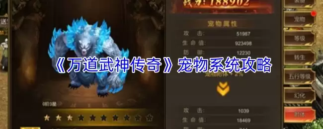 万道武神传奇宠物系统攻略：养成技巧全解析