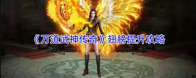 万道武神翅膀提升技巧：5步精通战力突破攻略