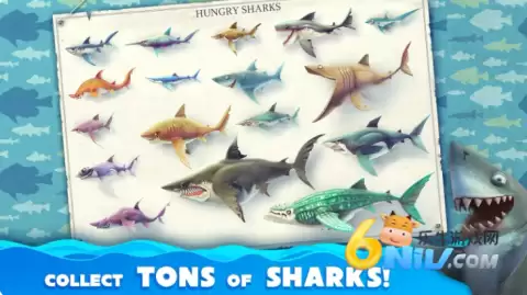 hungrysharkworld