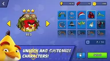 愤怒的小鸟竞速