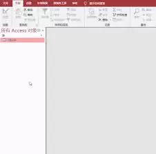 Access导航窗格示意