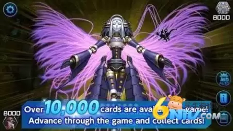 游戏王大师决斗国际服