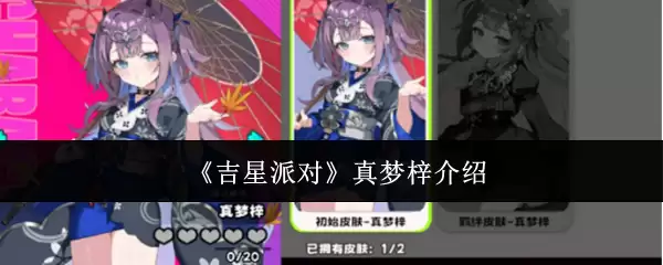 《吉星派对》真梦梓介绍