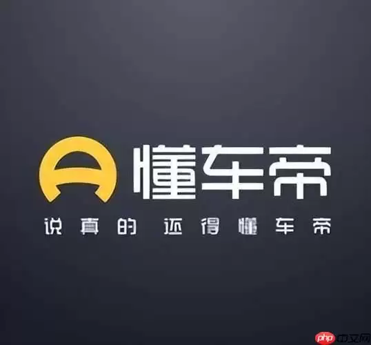 懂车帝官方网站PC端登录入口网页版界面