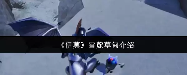 《伊莫》雪麓草甸介绍