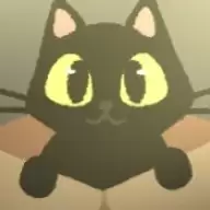 别带这只猫回家