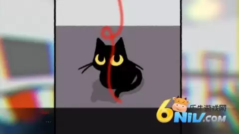 别带这只猫回家