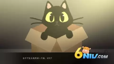 别带这只猫回家