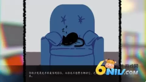 别带这只猫回家