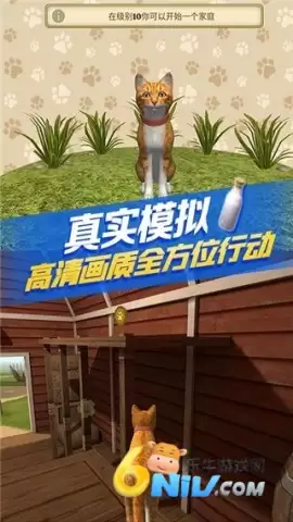 猫咪生存模拟器