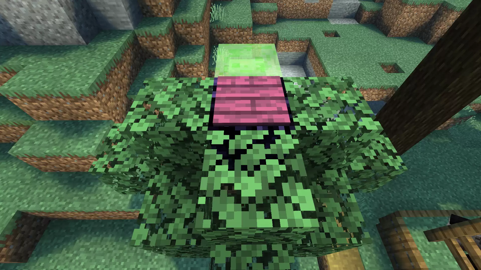 《我的世界：移动版》弹跳平台搭建教程