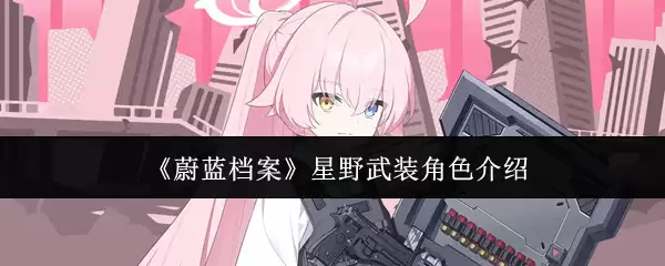 星野武武装角色档案：蔚蓝档案中的强力战员解析