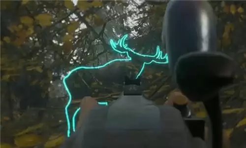 动物狩猎模拟器