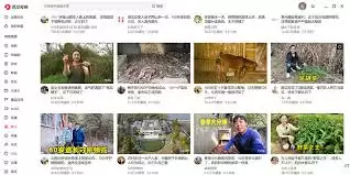 西瓜视频PC版在哪看更新