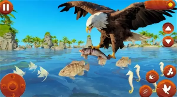 野生鸟类模拟器