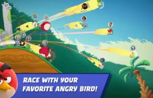 愤怒的小鸟赛车
