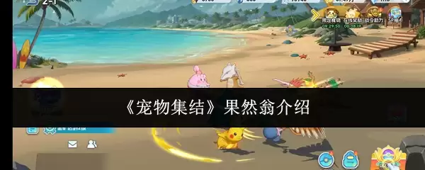《宠物集结》果燃翁介绍
