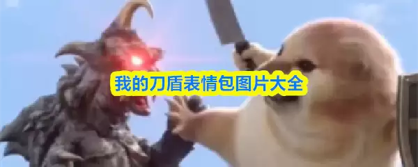 我的刀盾表情包图片大全