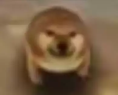 我的刀盾表情包图片大全