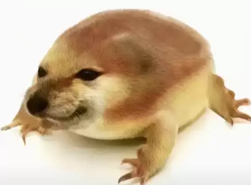 我的刀盾表情包图片大全