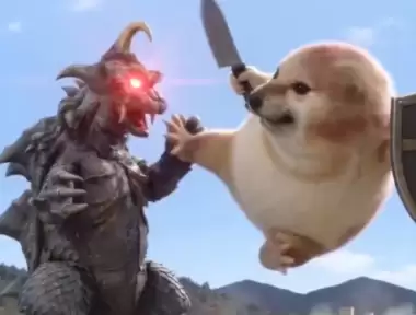 我的刀盾表情包图片大全