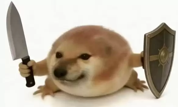 我的刀盾表情包图片大全