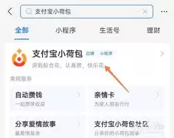 花呗账单分类与标签管理