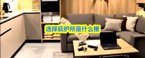 选择庇护所AI视频截图示例