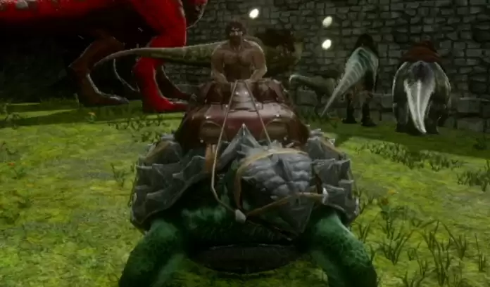 淡水碳龟蛋作为核心原料