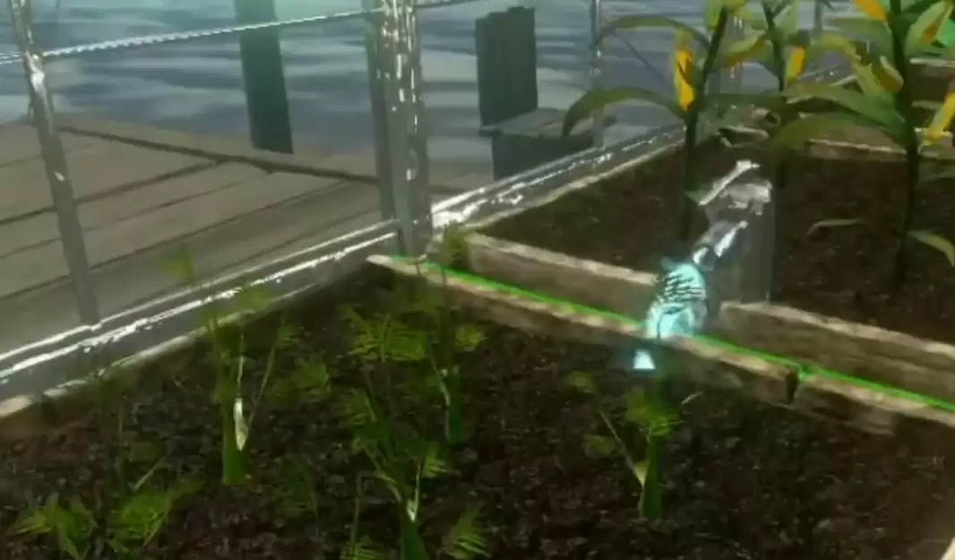 产出的淡水碳龟蛋饲料及其效用