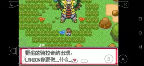 口袋妖怪海市蜃楼